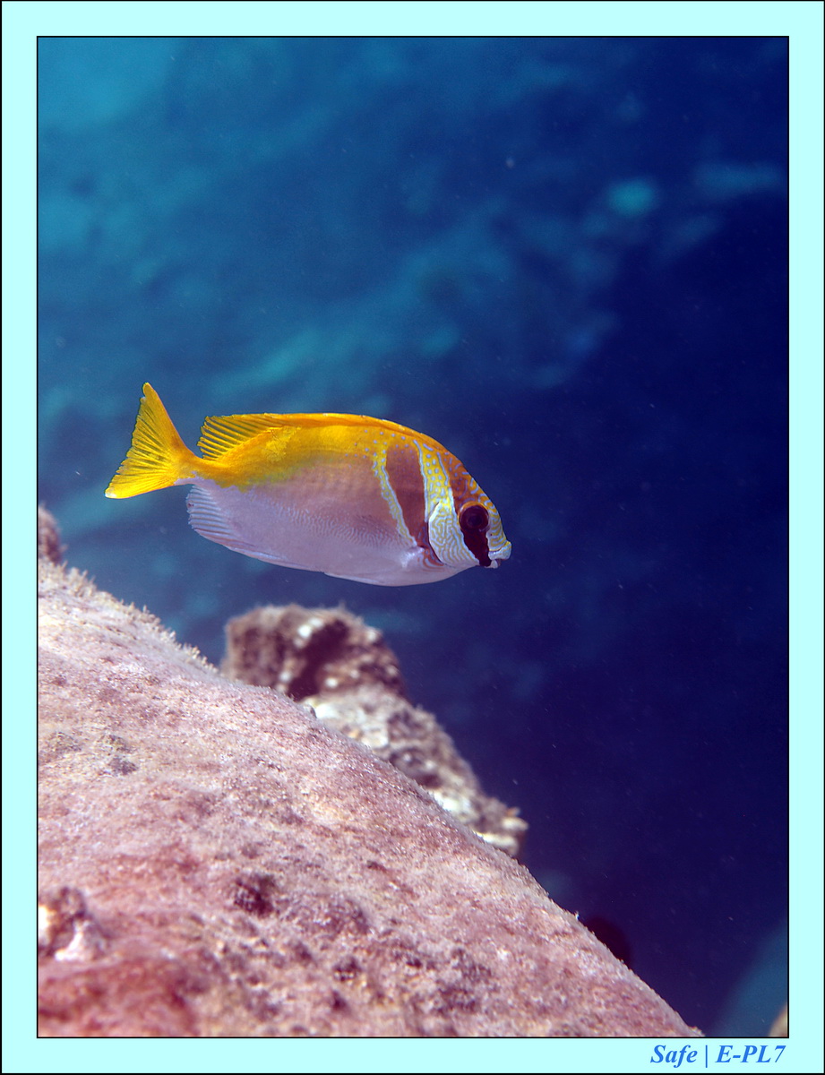 2016 - 07 - Leng Tengah - 060